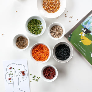 Beyond the Book: Seed Mosaics
