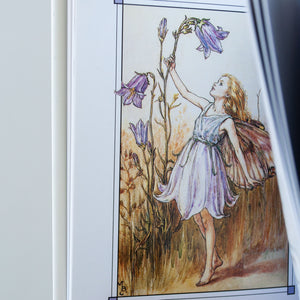 Flower Fairies Book Series