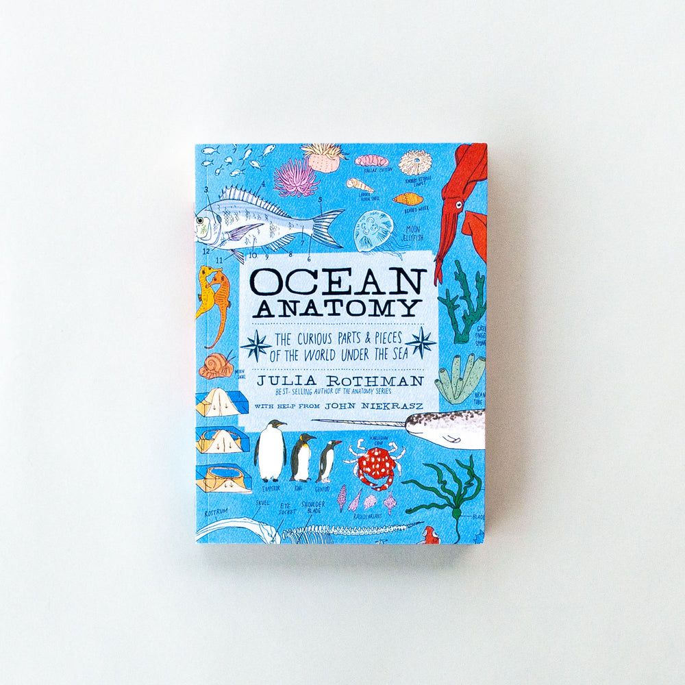 Ocean Anatomy - Bookfolk